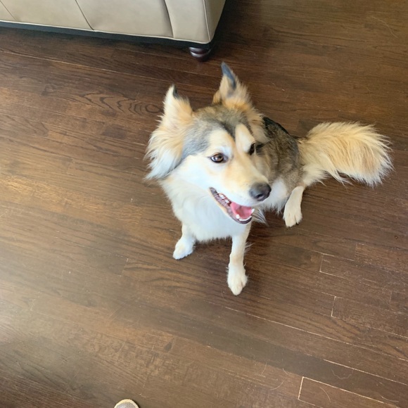 Meet your Posher, Rebecca - Picture 1 of 1